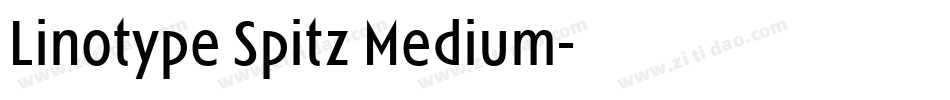 Linotype Spitz Medium字体转换